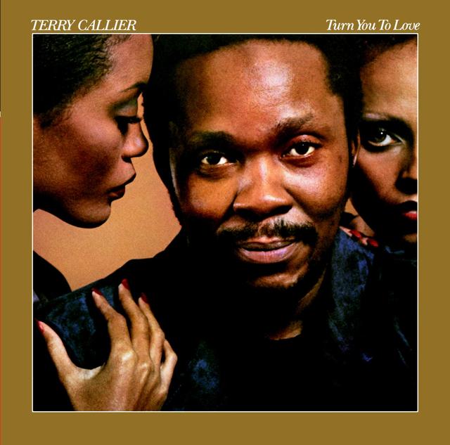 Terry Callier TURN YOU TO LOVE Cover