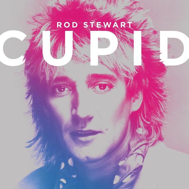 Rod Stewart CUPID Cover